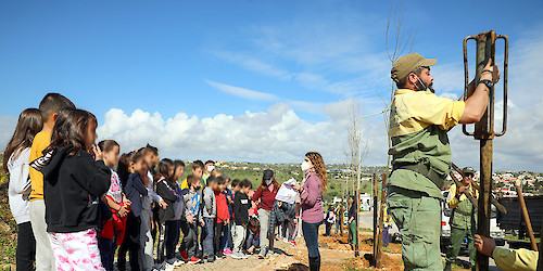 Mais uma acção de plantação de árvores na Avenida Paul Harris com a colaboração da Escola da Ameijeira e dos Sapadores Florestais