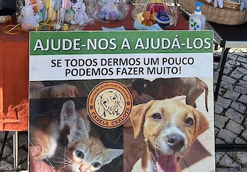 Cadela Carlota & Companhia - Associação de Protecção de Animais vai estar uma vez por mês o Mercado de Lagos