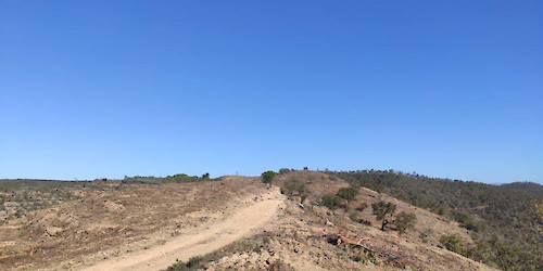 Terras do Infante aposta na Prevenção/Combate a Incêndios Florestais