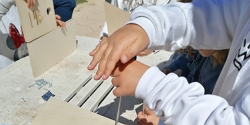 Município de Aljezur promoveu Workshop “Construção de caixas-ninho”