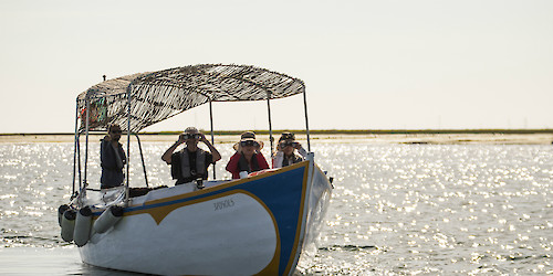 Algarve capacita agentes de animação turística que operam na Ria Formosa