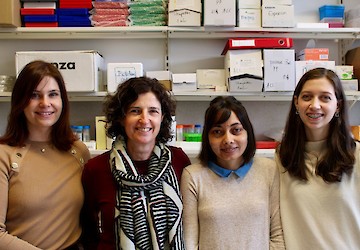 Cientistas da Universidade de Coimbra descobrem alterações cognitivas provocadas por variante genética ligada à deficiência intelectual