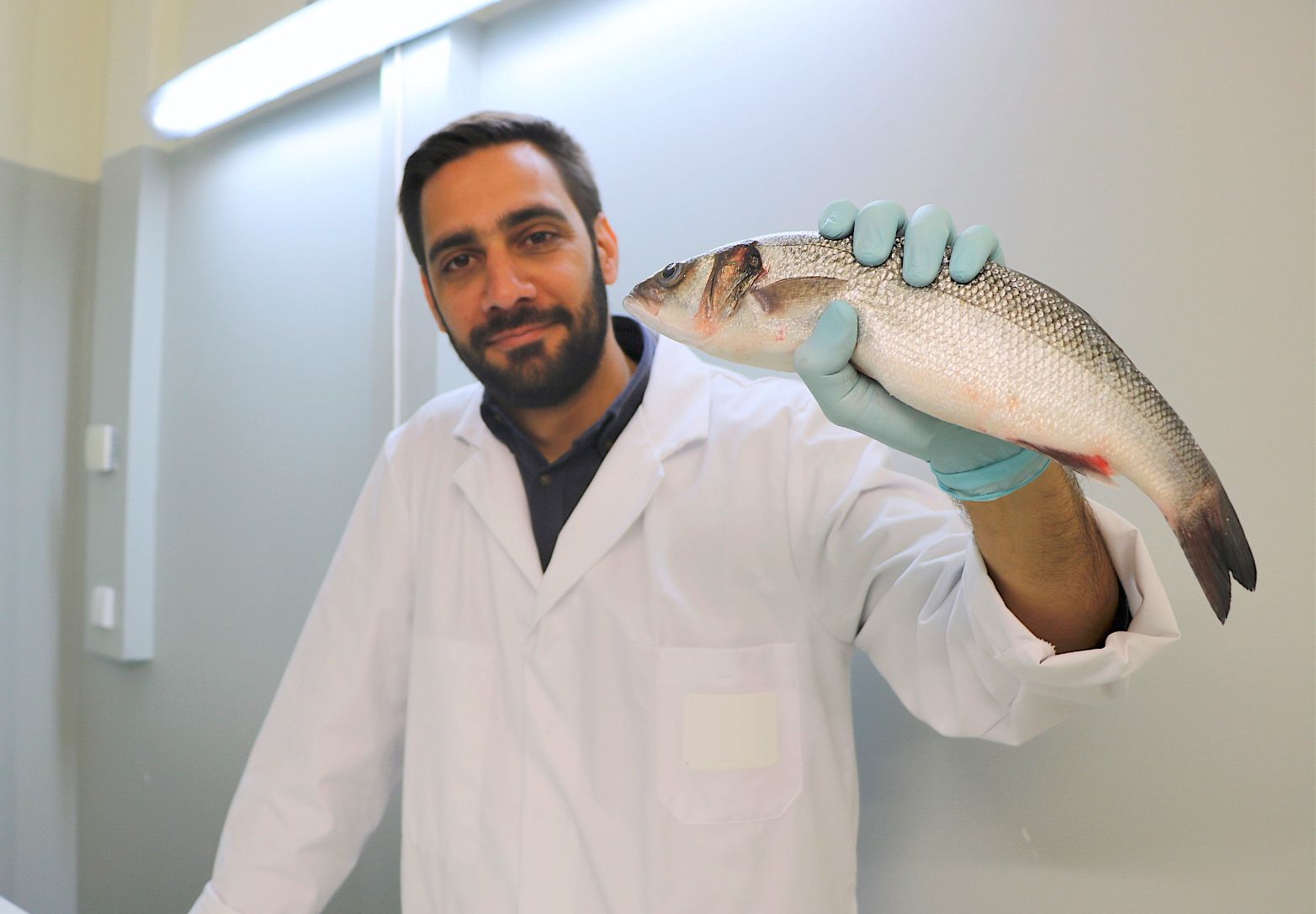 Investigadores reutilizam subproduto do biodiesel em rações para peixes de aquacultura