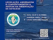 Observação de cetáceos com formação em Lagos - 1