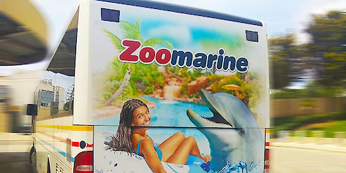 Zoomarine estreia novas soluções de publicidade outdoor da LCPA MEDIA, nos autocarros VAMUS