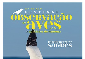 Sagres: Festival de Observação de Aves & Actividades de Natureza espera por si