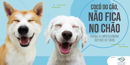 Associação Limpeza Urbana lança campanha contra dejectos caninos a nível nacional