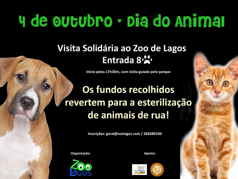 Zoo de Lagos promove Visita Solidária para ajudar animais de rua