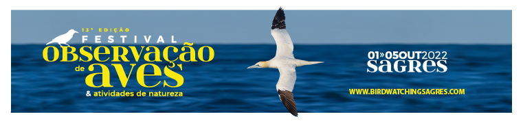 (Z1) 2022 - CM de Vila do Bispo - Birdwatching