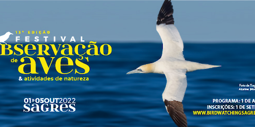 Já estão abertas as inscrições para o Festival de Observação de Aves