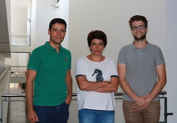 Investigação da Universidade de Coimbra usa Inteligência Artificial para acelerar a descoberta de novos fármacos