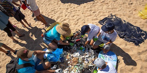 Acções no Algarve - Fundação Oceano Azul associa-se a mais de 100 acções de limpeza