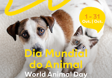 Dia Mundial do Animal: MAR Shopping Algarve recebe exposição de fotografias de animais que se encontram para adopção