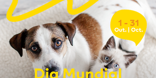 Dia Mundial do Animal: MAR Shopping Algarve recebe exposição de fotografias de animais que se encontram para adopção