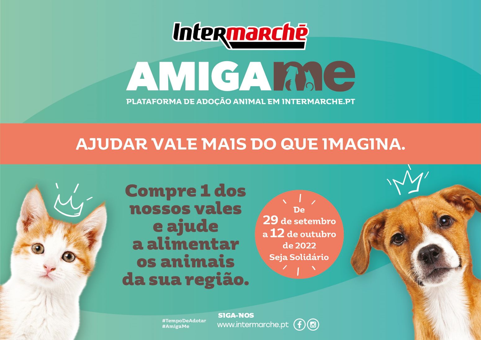 Intermarché apoia animais abandonados com a campanha solidária Amiga-me