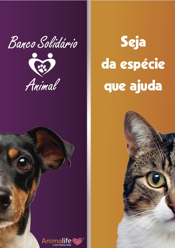 Banco Solidário Animal apela à ajuda para milhares de cães e gatos em risco