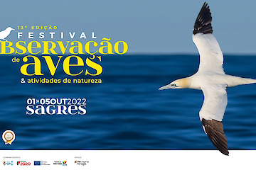 O maior evento nacional dedicado às aves e Natureza arranca amanhã em Sagres