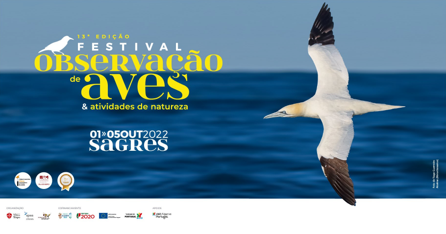O maior evento nacional dedicado às aves e Natureza arranca amanhã em Sagres