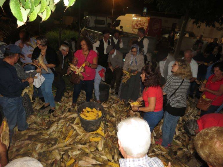 Rancho de Odiáxere promoveu com sucesso a tradicional "Descasca do Milho":  Assembleia-Geral marcada para dia 19 de Outubro, Sábado, pelas 21h00, na sede do R.F.E.O.