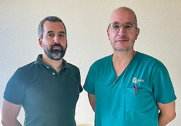 Cientistas da Universidade de Coimbra investigam novas abordagens terapêuticas para o tratamento do traumatismo crânio-encefálico