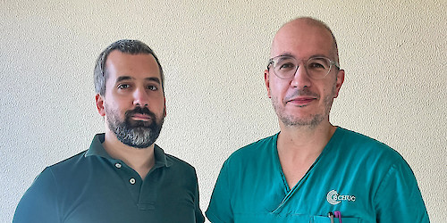 Cientistas da Universidade de Coimbra investigam novas abordagens terapêuticas para o tratamento do traumatismo crânio-encefálico