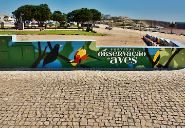 Sagres tem mural de arte pública alusivo ao "Festival de Observação de Aves & Actividades de Natureza"