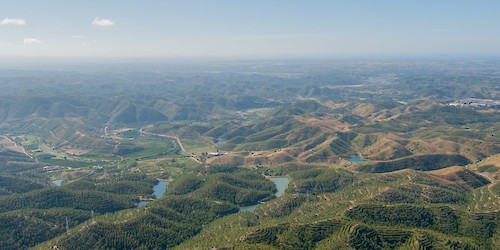 Relançamento do projecto "Renature Monchique"