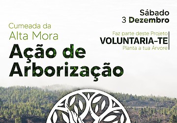 Seja voluntário e ajude a reflorestar a área ardida em Castro Marim