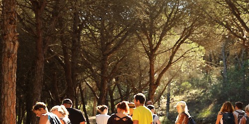 Barão de São João – Walk & Art Fest, todos os caminhos levaram à arte