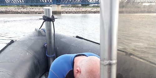 Polícia Marítima resgata cão isolado numa zona de sapal no rio Arade em Portimão