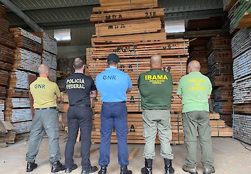 GNR: Operação "Madeira de Lei 2022" – Combate ao comércio ilegal de madeira