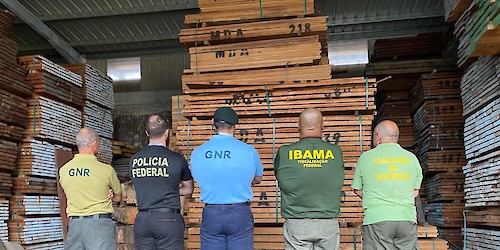 GNR: Operação "Madeira de Lei 2022" – Combate ao comércio ilegal de madeira