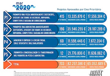 Algarve ultrapassa as sete centenas de candidaturas aprovada no MAR2020