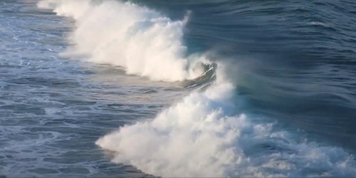 Movimento Juntos Pelo Sudoeste saúda a mega-operação do ICNF  no Parque Natural do Sudoeste Alentejano e Costa Vicentina e questiona sobre o futuro