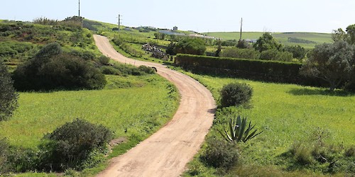 Caminhos rurais já intervencionados na Freguesia de Vila do Bispo e Raposeira