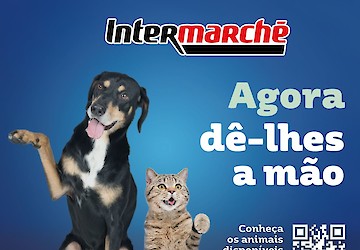 Intermarché apoia associações de proteção animal com campanha solidária Amiga-me