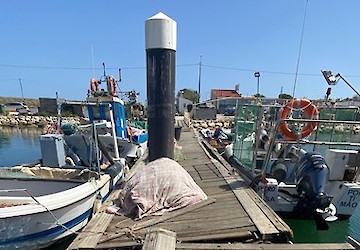 “Pela requalificação dos pontões dos pescadores no Porto de Pesca de Lagos”