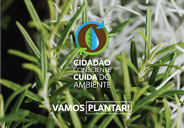 Vamos Plantar! Município de Odemira oferece árvores à população