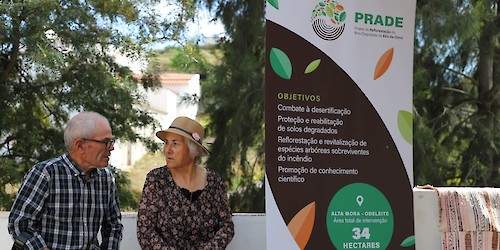 PRADE - Projecto de Reflorestação de área ardida alia ambiente, investigação e actividade agroflorestal produtiva