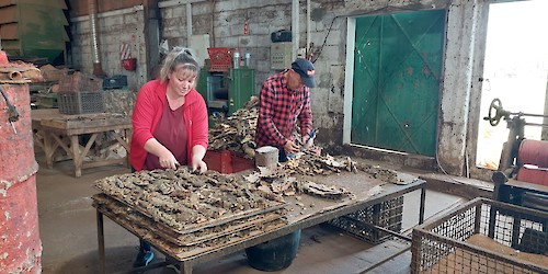 Turismo industrial: experiências que convidam a descobrir um outro Algarve