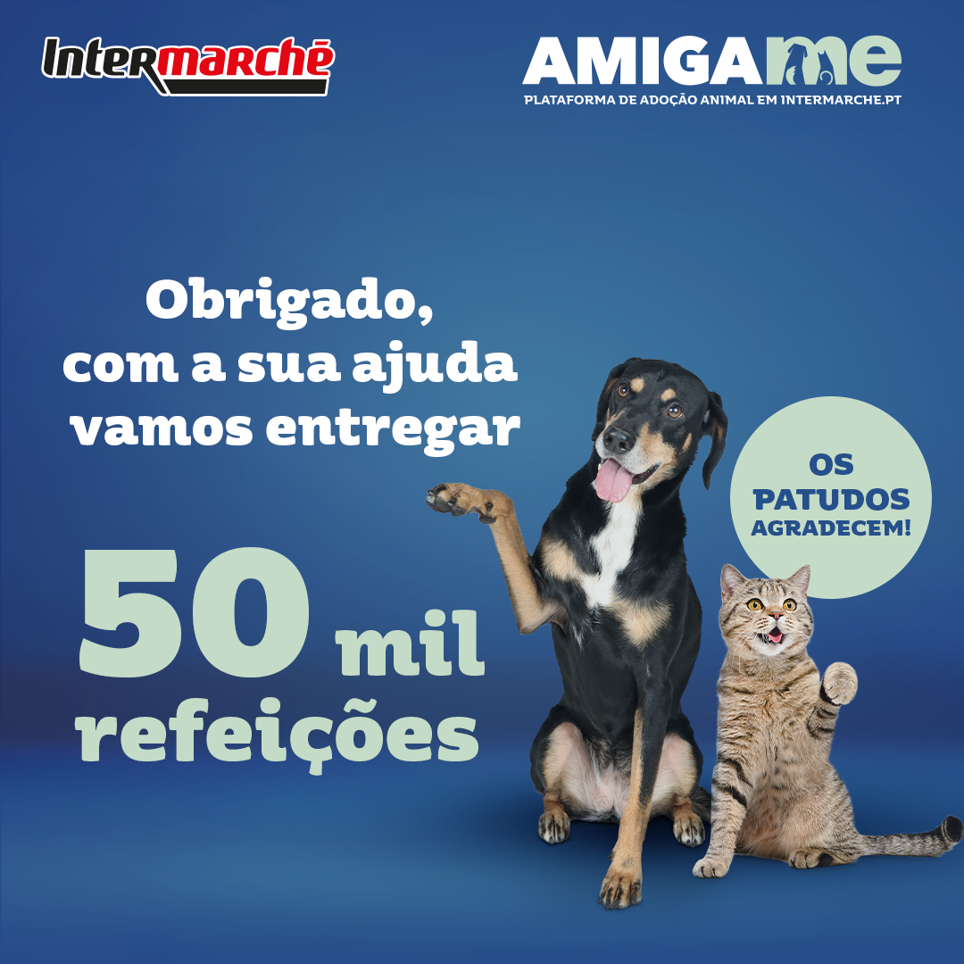 Intermarché angaria 50 mil refeições para animais com campanha “Amiga-me”