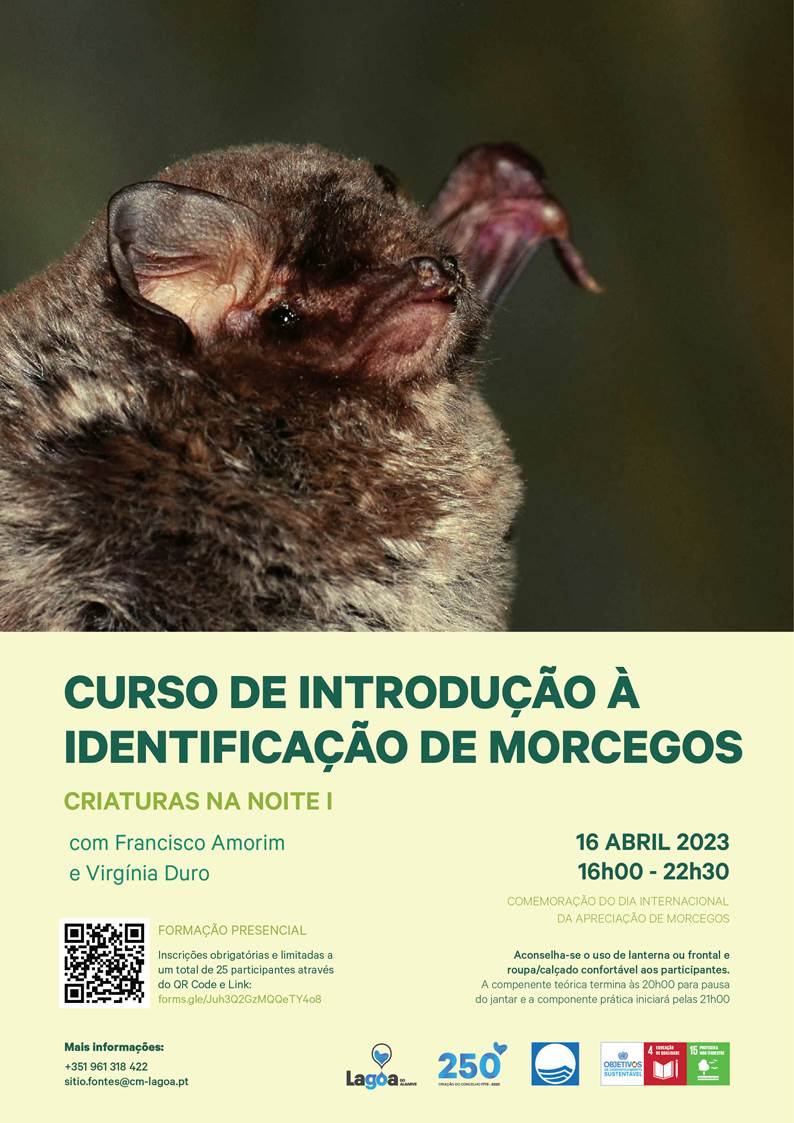 Curso de Introdução à Identificação de Morcegos | Criaturas na Noite I | 16 de Abril | Parque Municipal do Sítio das Fontes | Lagoa - Estômbar