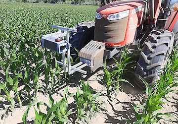 Investigadores da Universidade de Coimbra desenvolvem sistema inovador para monitorização de plantações de milho