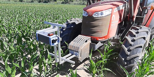 Investigadores da Universidade de Coimbra desenvolvem sistema inovador para monitorização de plantações de milho