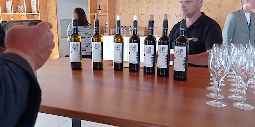 Rota dos Vinhos do Algarve apresenta nova estratégia de atracção de público