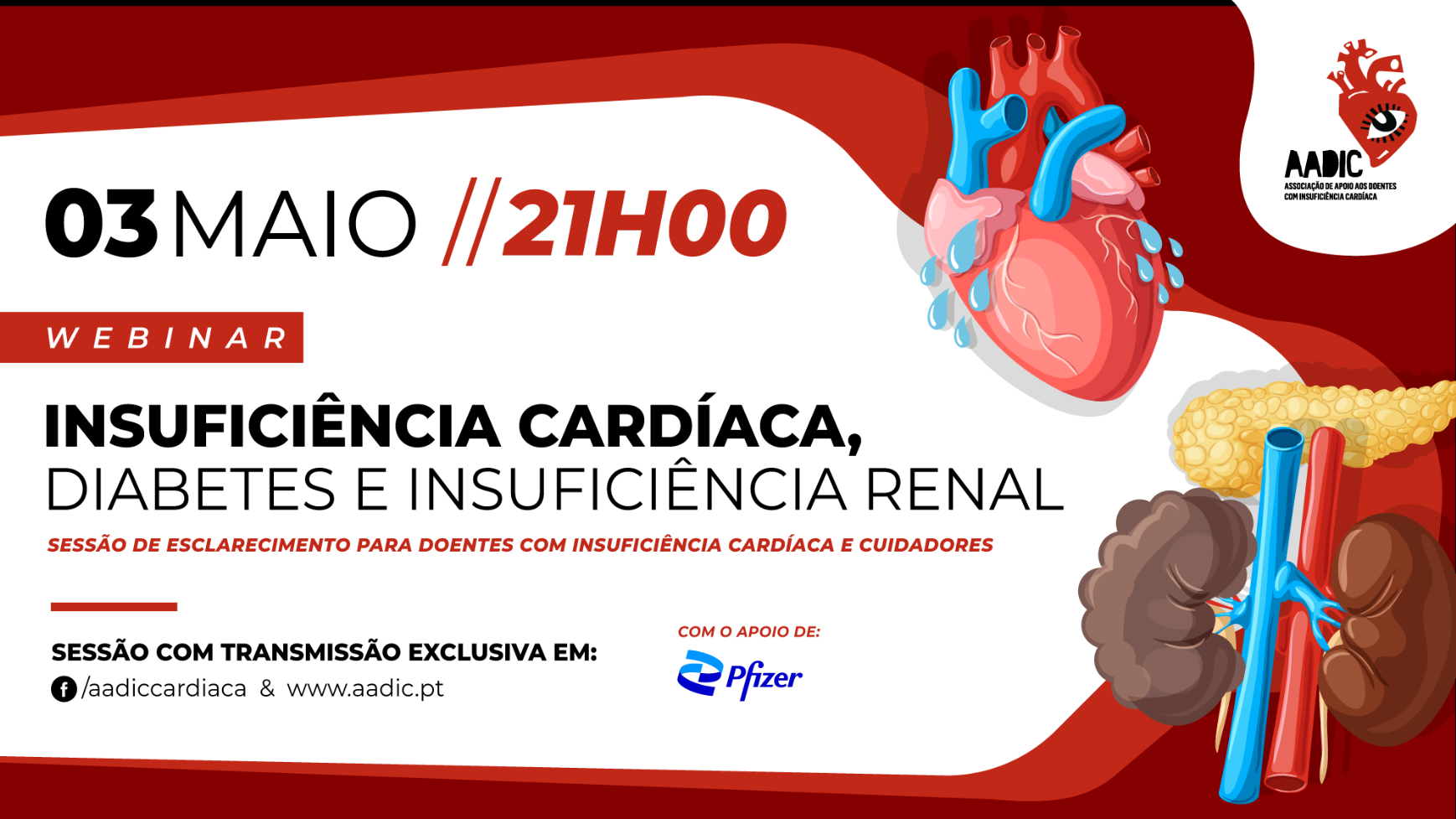 Webinar da AADIC aborda relação entre Insuficiência Cardíaca, Diabetes e Insuficiência Renal