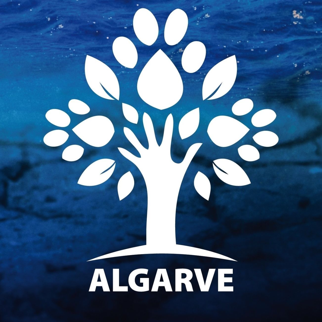 PAN quer fim imediato do abate de árvores e podas extremas em domínio municipal no Algarve