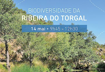 Odemira promove visita guiada à biodiversidade da Ribeira do Torgal