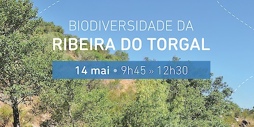 Odemira promove visita guiada à biodiversidade da Ribeira do Torgal