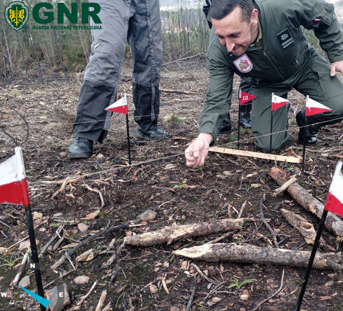 GNR | Encerramento do Curso de Investigação de Causas de Incêndios Florestais (CICIF)-2023